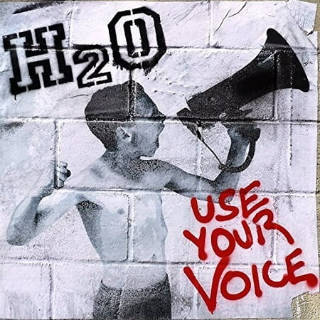 Use Your Voice (Vinyl)