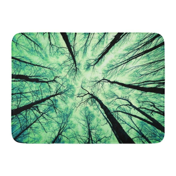 YUSDECOR Bark Green Cedar Looking Up at The Sky White Aspen City Rug Doormat Bath Mat 23.6x15.7 inch