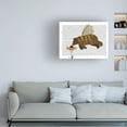 thumbnail image 3 of Fab Funky 'Bear Bee Book Print' Canvas Art, 3 of 3