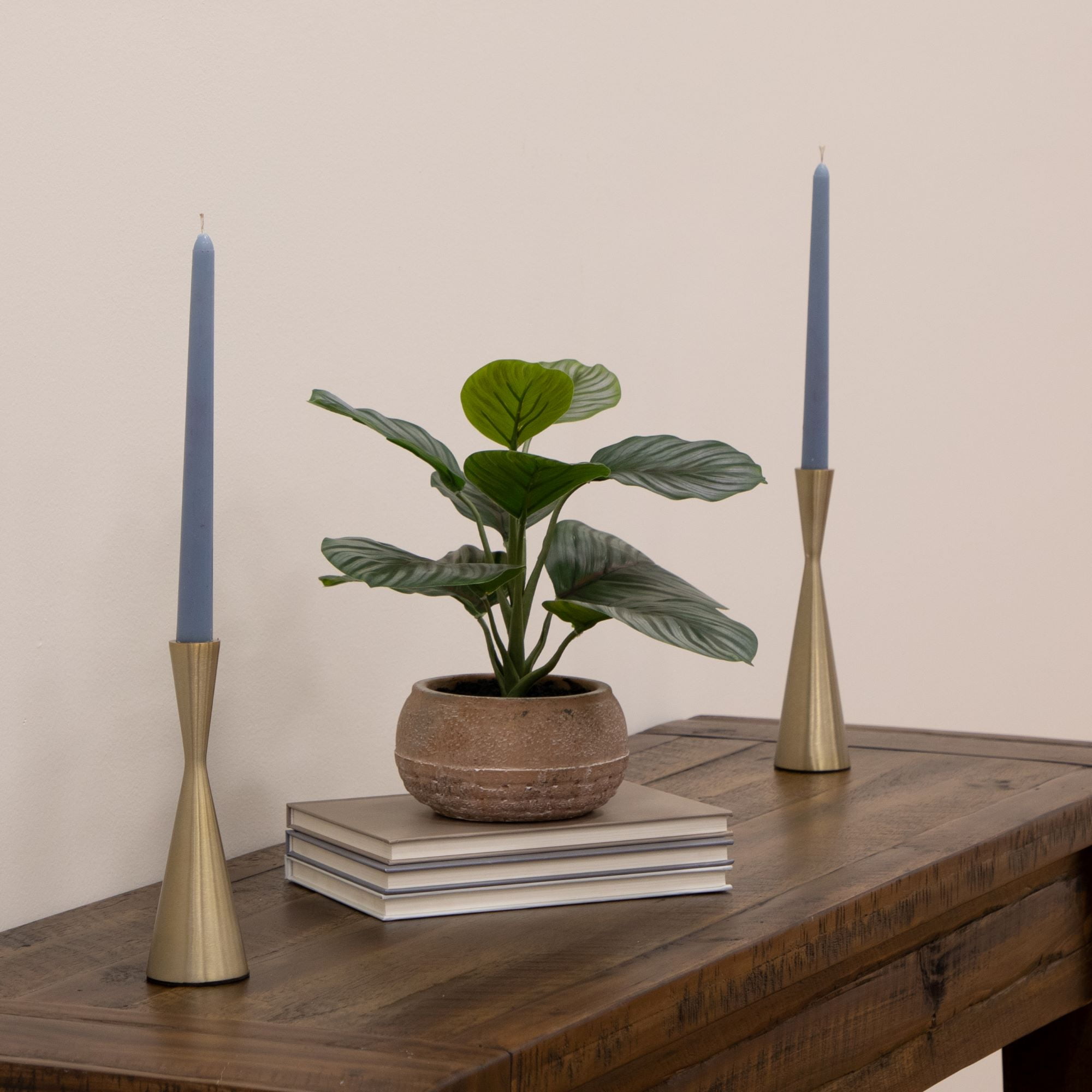 Better Homes & Gardens Artificial Indoor Calathea Plant in Stone Planter