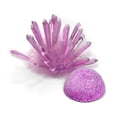 thumbnail image 1 of Crystal Growing, Crystal Growing Kit STEAM Chemical Science Experiment Educational Craft DIY Projects Kits Lab Experiment(Purple), 1 of 7