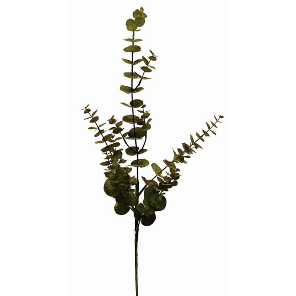Eucalyptus Stem Faux Plants And Trees