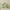 Green, variant on Four Seasons Thickened Velvet Pillowcase Velvet Pillowcases Queen Size,1 Pack Soft Color Pillow Shams Covers with Zippers Closure, Luxury Cozy Decorative Pillow Cases, No Filling,18.9 ×29.1in