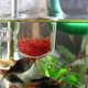 thumbnail image 3 of Mangeoire à vers rouge transparente pour aquarium, ventouse pour nourrir les poissons, accessoire pour récipient, verre craquelé, 3 of 4