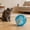 A, variant on Automatic Hamster Ball Interactive Pet Toy Quiet Rolling Dog Cat Toy