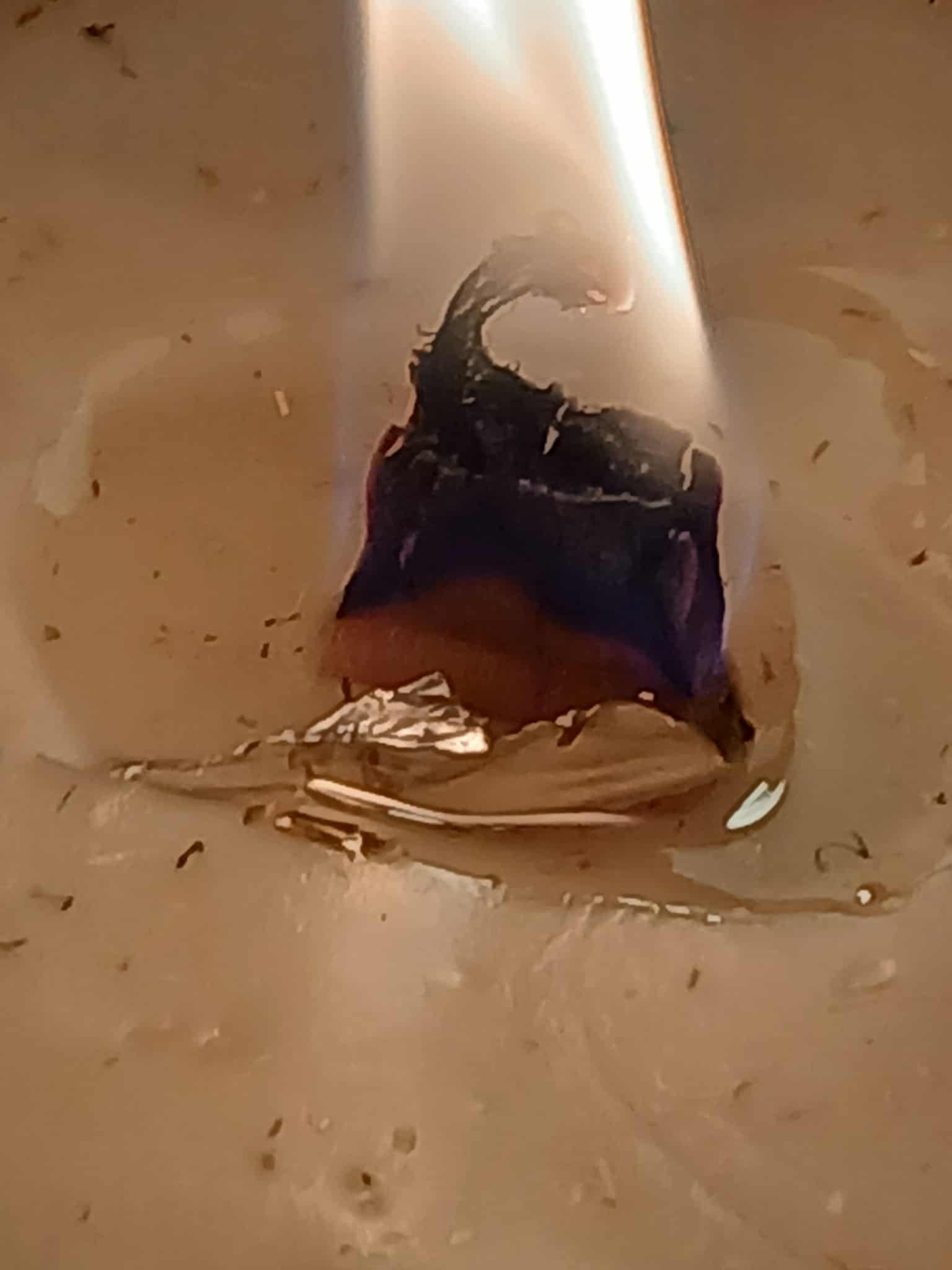 Taylored Family Survival Scents 8 oz. Leather-wood and Tobacco Scented Candle, Hand-Poured Beeswax Blend, Custom Wick