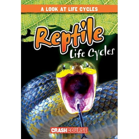 Look at Life Cycles: Reptile Life Cycles (Paperback)