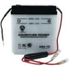 Yuasa 6N6-1D Automotive Battery