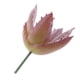 thumbnail image 4 of Plantas Suculentas Artificiales Hierba Desierto DIY Paisaje Flores Hogar Jardín Decoración Macarena Planta Artificial, 4 of 7