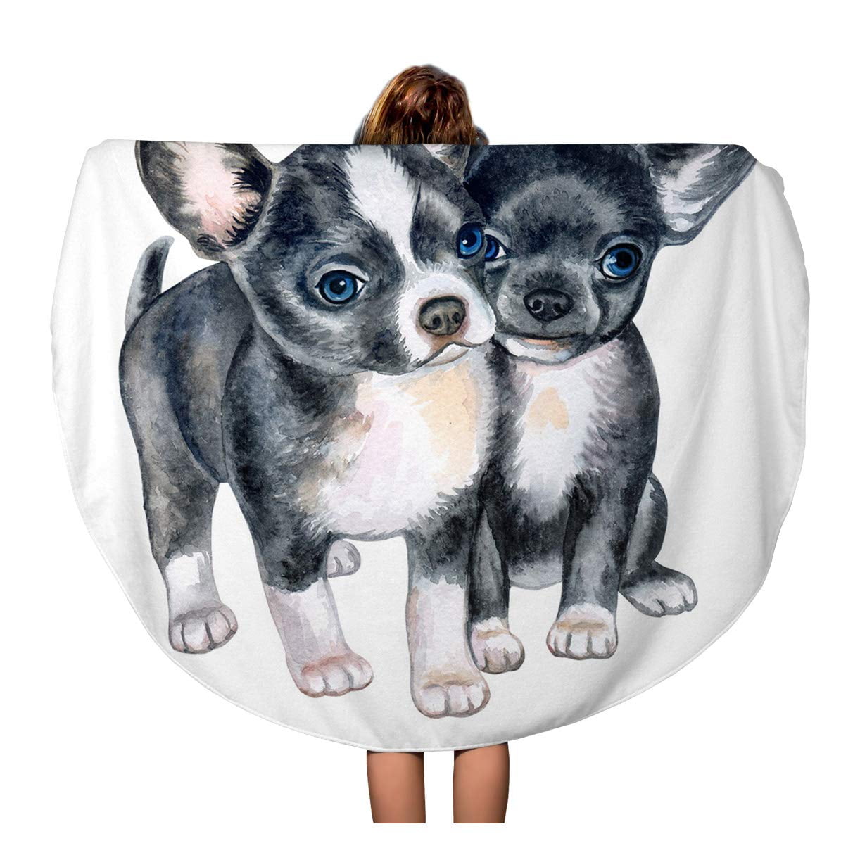 cute chihuahua puppies