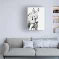 thumbnail image 3 of PHBurchett 'Donkey Portrait V' Canvas Art, 3 of 3
