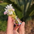 thumbnail image 3 of Dserhfy 4 Pcs Mini Glass Vases Set Faux Flowers in Glass Vases Glow in The Dark Flower Vases for Desktops Car Dashboard Decor, 3 of 8