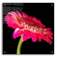 thumbnail image 1 of Epic Art 'Awakening' by Pamela Plummer, Acrylic Glass Wall Art, 24"x24", 1 of 8