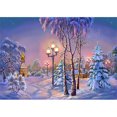 thumbnail image 1 of Taladro Pintura Diamante (DF3102) 5D DIY Full Snow Scenery Inicio Costura (Snow01) 30x40cm Hugtrwg Para estrenar, 1 of 1