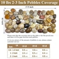 Very Large River Rocks 40 lbs Large River Rocks for Landscaping, 2-3 Inch Garden Rocks ...