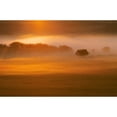 thumbnail image 2 of Foggy Sunset Poster Print, 2 of 2