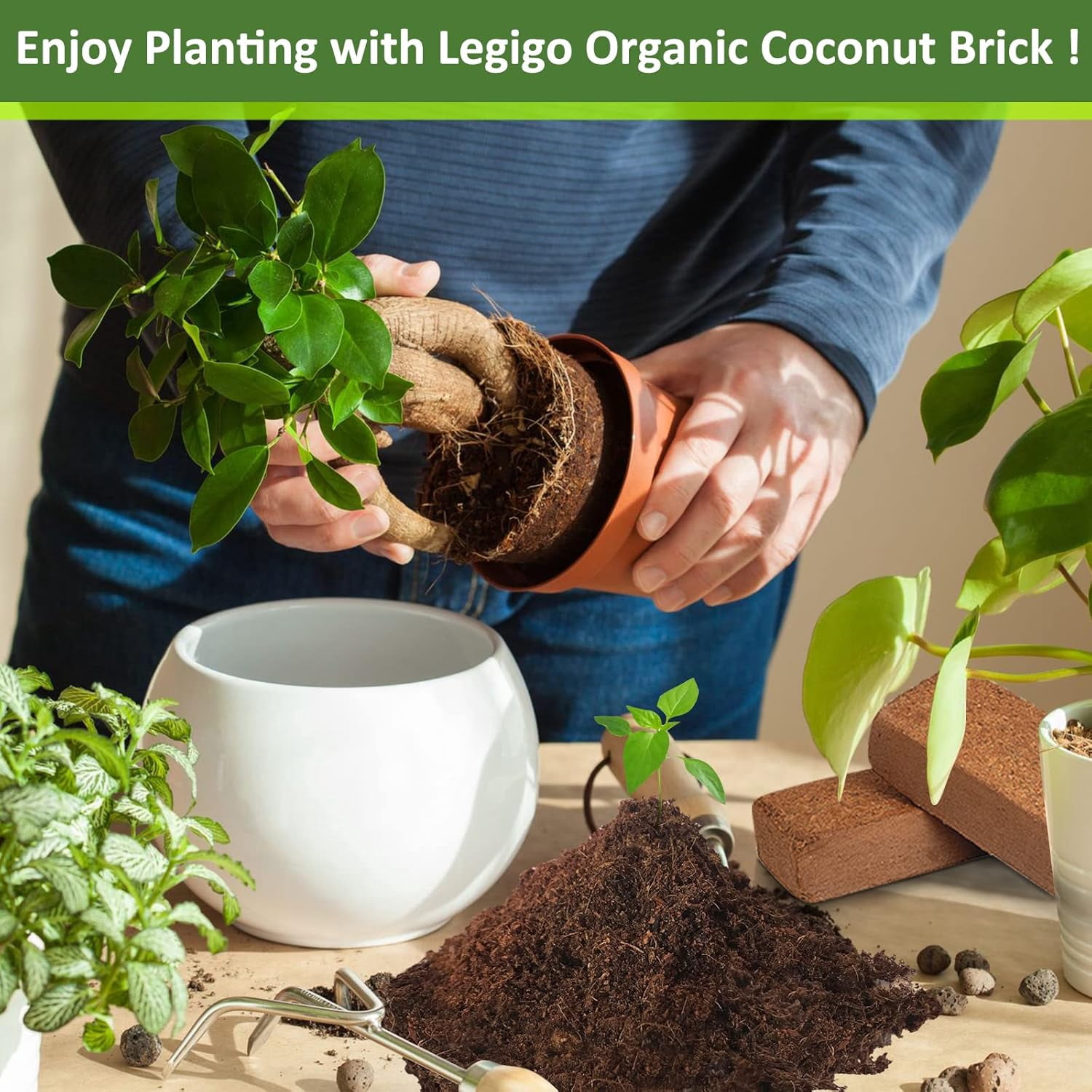 6 Pack Premium Coco Coir Brick for Plants- 100% Organic Compressed Coconut Coir Bricks Starting Mix, Coco Coir Fiber Coconut Husk for Planting, Gardening, Potting Soil Substrate, Herbs