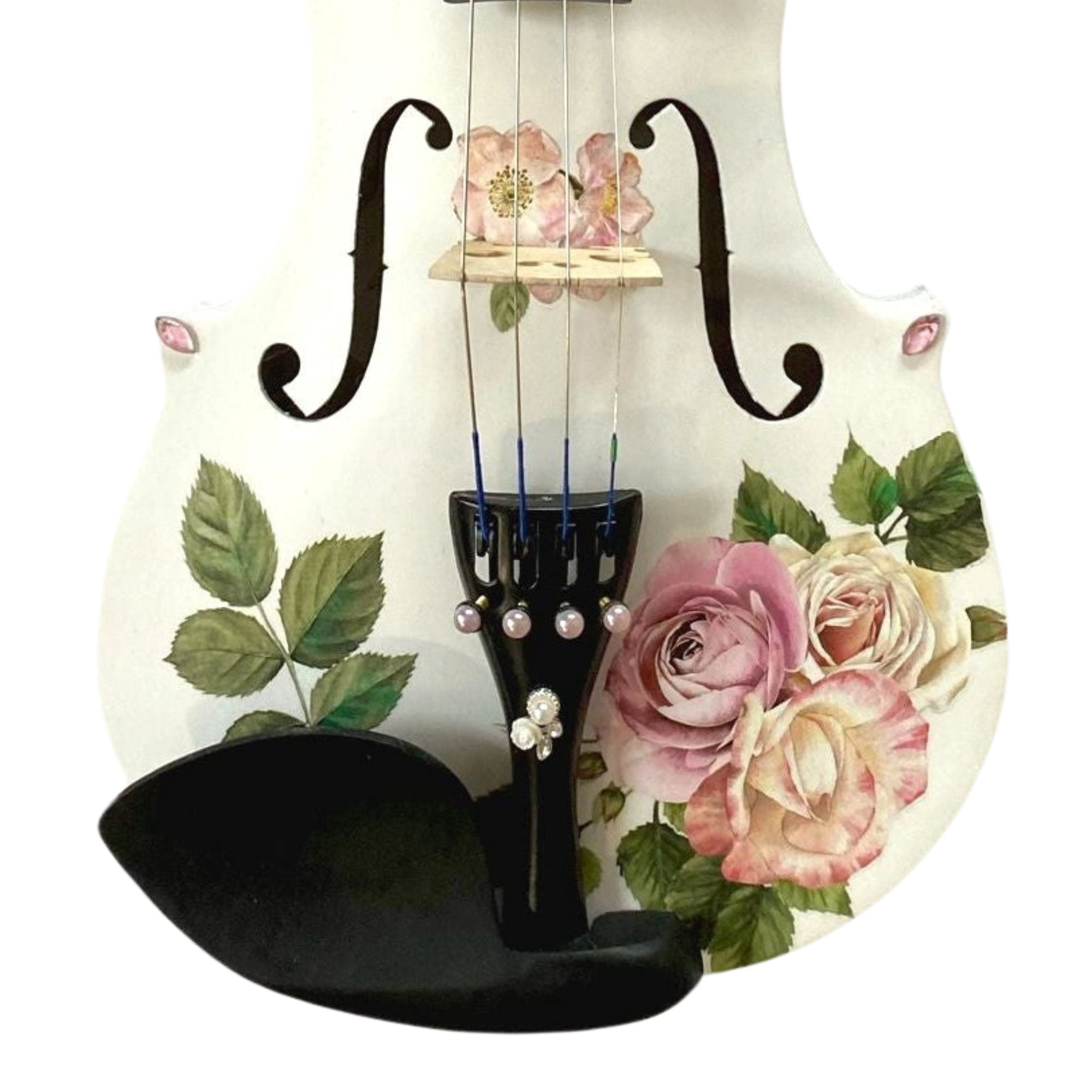 Rozanna's Violins Rose Delight Violin Outfit With Carbon Fiber Bow 4/4