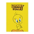 thumbnail image 2 of Looney Tunes Tweety Flannel Blanket Cozy Ultra-Soft Micro Throw Blanket For Bed Sofa Couch Car Office Camping Travel All Season Fleece Blanket 50"x40", 2 of 8