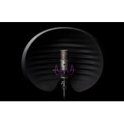 Aston Microphones HALO Shadow Reflection Filter