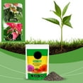 thumbnail image 5 of Njshnmn Succulent Cactus Potting Soil Mix All Purpose Garden Potting Mix For Indoor Outdoor Quick Drain Orchid Bonsai Perlite Soil Ready To Use Resealable Bag Design, 5 of 9