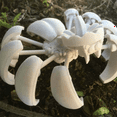 thumbnail image 3 of 3D Printed Pumpkin Spider, Pumpkin Fidget Desk Statue, Office Gift Pumpkin Transformer Decoration As Shown, 3 of 6