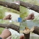 thumbnail image 5 of Mini Stainless Steel Wire Saw,Pocket Chainsaw,Portable Camping Saw Wire Saw,Wire Hand Saw Field Saw, 5 of 5