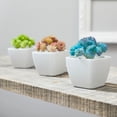 thumbnail image 6 of (2 pack) Mainstays Artificial Succulent Pick 3.75 inch x 5 inch Blue Sedum, 6 of 6