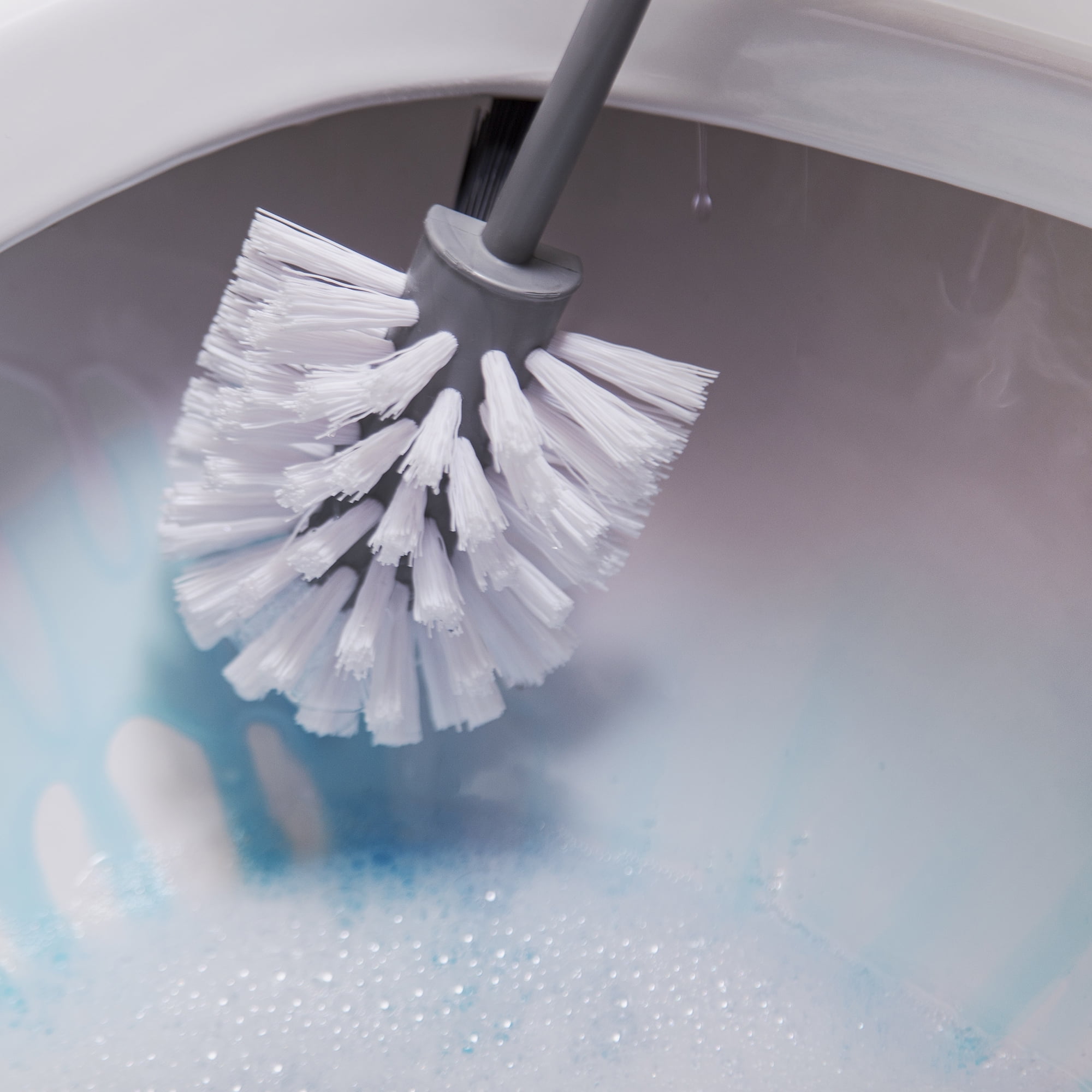 (10 pack) Reynera Plastic Bowl Brush with Caddy, Adult, Grey