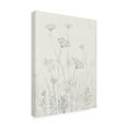 thumbnail image 2 of Trademark Fine Art 'Neutral Queen Anne's Lace I' Canvas Art by Tim OToole, 2 of 4