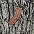 thumbnail image 2 of Pickle - Cedar Ornament, 2 of 4