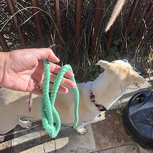 Glow Pups 5 foot Ombre Rope Dog Standard Leash, Green