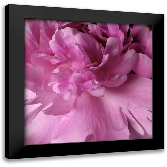 Burkhart, Monika 12x12 Black Modern Framed Museum Art Print Titled - Spring Peonies I
