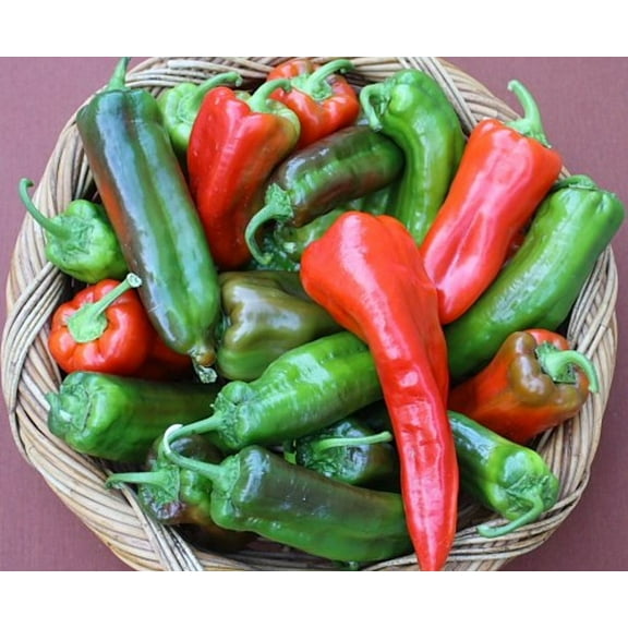 Peperoni di Senise Heirloom Pepper Premium Seeds Packet