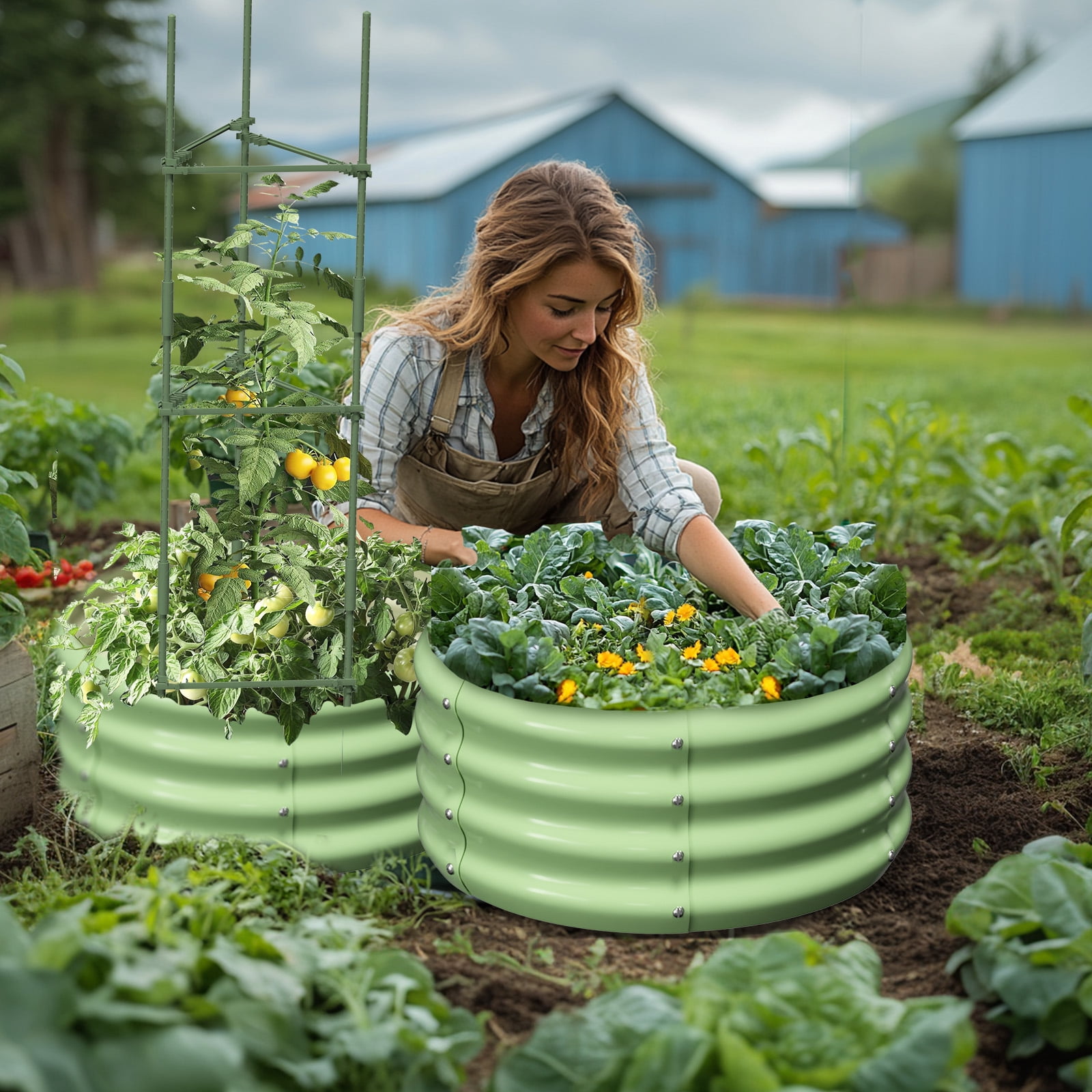 MOPHOTO 3 Pcs 24x24x12in Round Galvanized Raised Garden Bed with Tomato Cages, Metal Planter Box for Planting Plants Vegetables Herbs Flowers, Green