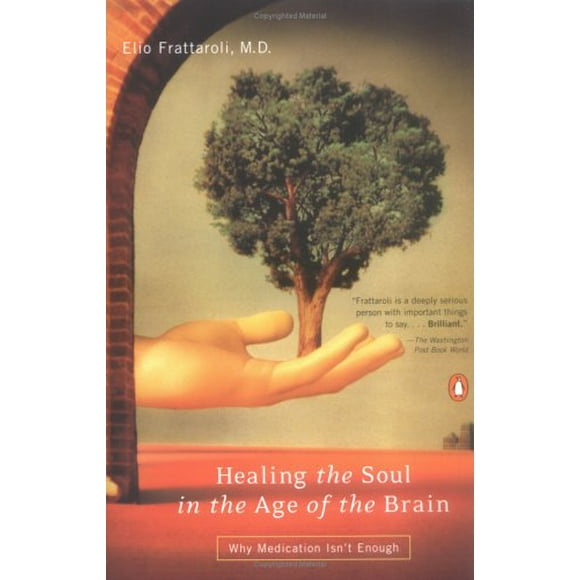 Healing the Soul in the Age of the Brain : Why Medication Isn't Enough 9780140254891 Used / Pre-owned