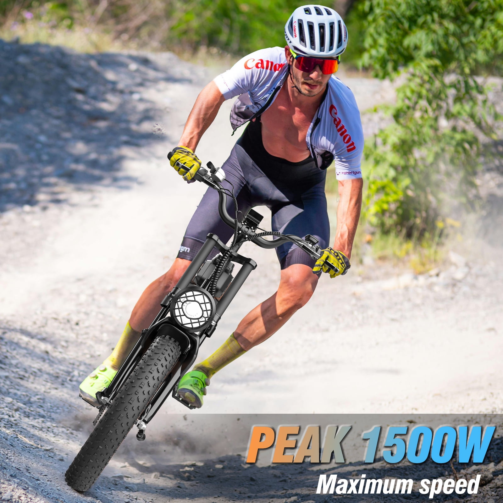 Ridstar Q20 Electric Bike for Adults, PEAK 1500W 31MPH,48V 20AH Electric Motorcycle,20" Fat Tire Mountain Bike UL2849