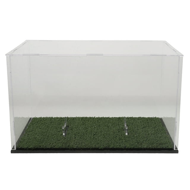 Caja expositora de rugby con hebilla, vitrina transparente para balón de rugby, vitrina de escritorio, vitrina estable, caja expositora de acrílico