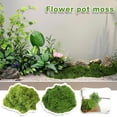 thumbnail image 2 of Fake Moss Artificial Fresh Green Moss Coir For Wedding Centerpieces Garden H9B8, 2 of 8