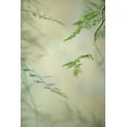 thumbnail image 2 of Poinski, Dianne 23x32 Gold Ornate Wood Framed with Double Matting Museum Art Print Titled - Soft Adagio 1, 2 of 4