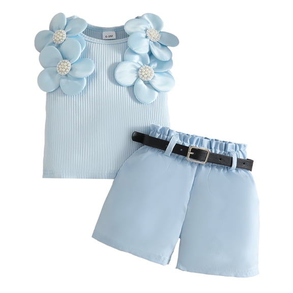 Infant Toddler Baby Girl Summer Clothes Bow Embroidery Short Sleeve T Shirts Top Shorts 2 Piece Summer Outfits Set Girls Summer Set 1-3 Years,2-3 Years