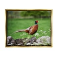 thumbnail image 4 of Stupell Industries Pheasant Strolling Lush Grassland Rural Nature Landscape Photograph Metallic Gold Floating Framed Canvas Print Wall Art, Design by James Dobson, 4 of 5