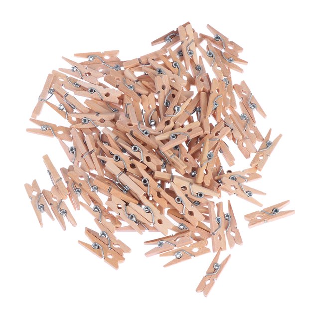 MasteelfCA 100 Pcs Pinces à Linge en Bois 2.5CM