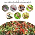 thumbnail image 4 of Red de protección para pájaros de malla para jardín, 4 x 10 m, color verde, con bridas y estacas para frutas y verduras, 4 of 5