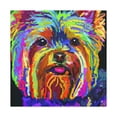 thumbnail image 1 of Yorkshire Terrier Fauvism - Canvas, 1 of 10