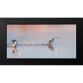 thumbnail image 2 of Chang, Phillip 24x14 Black Modern Framed Museum Art Print Titled - Chase After, 2 of 5