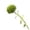 Yellow, variant on Flowers Display Ready Dianthus Soft Green for Home and Centerpiece Use - Elegant Polyester Ornament for Living Rooms and All Rooms, 50 cm, Yellow