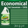 thumbnail image 4 of OdoBan Disinfectant Concentrate and Odor Eliminator, 4 Gallons, Original Eucalyptus Scent, 4 of 7