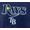 Tampa Bay Rays, variant on MLB Athletics Men's Cotton Short Sleeve Tee