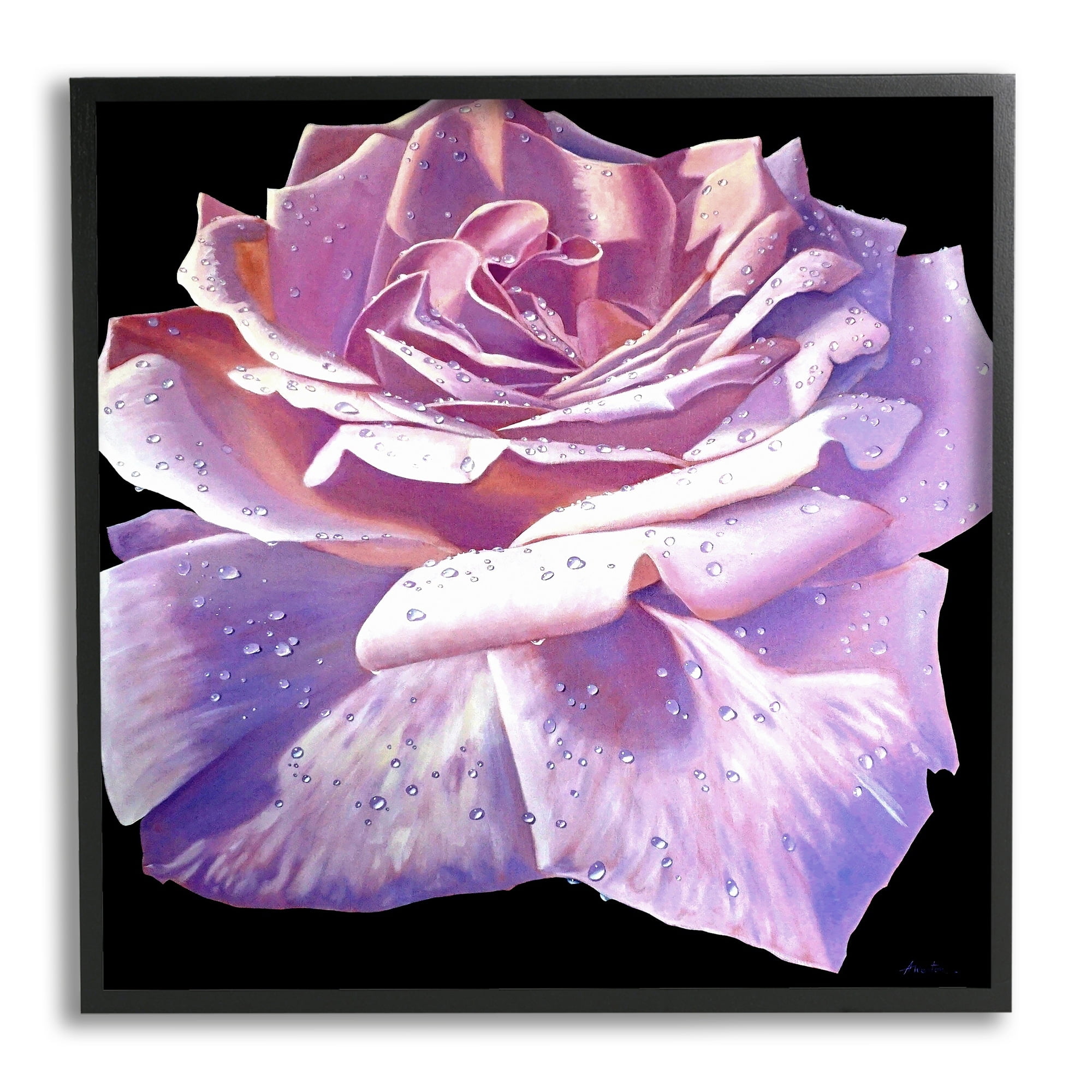 Stupell Industries Lush Pink Rose Petals Flower Water Droplets Painting White Framed Art Print Wall Art, Design by Alan Weston